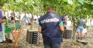 carabinieri-caporalato-kaDI-835x437@IlSole24Ore-Web